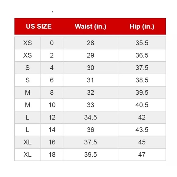 LRL Ralph Lauren Black Label Pink Floral Georgette Mini Skirt Size 10 NEW - Picture 5 of 15